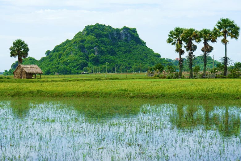 El delta del Mekong