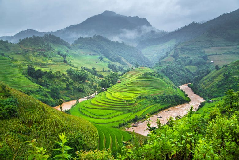Magnificent views of Sapa's rice terraces