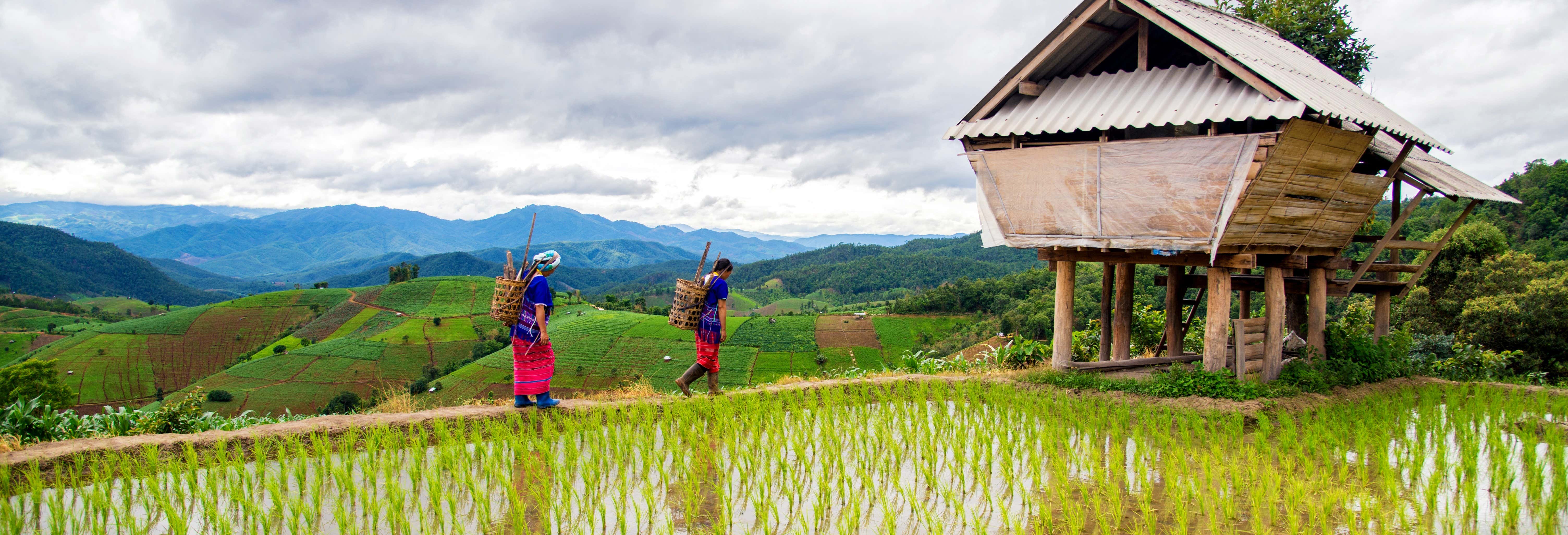 Trekking por los arrozales de Sapa