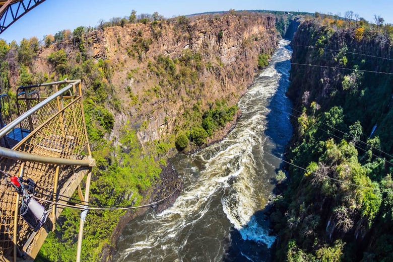Bungee jumping at the Victoria Falls