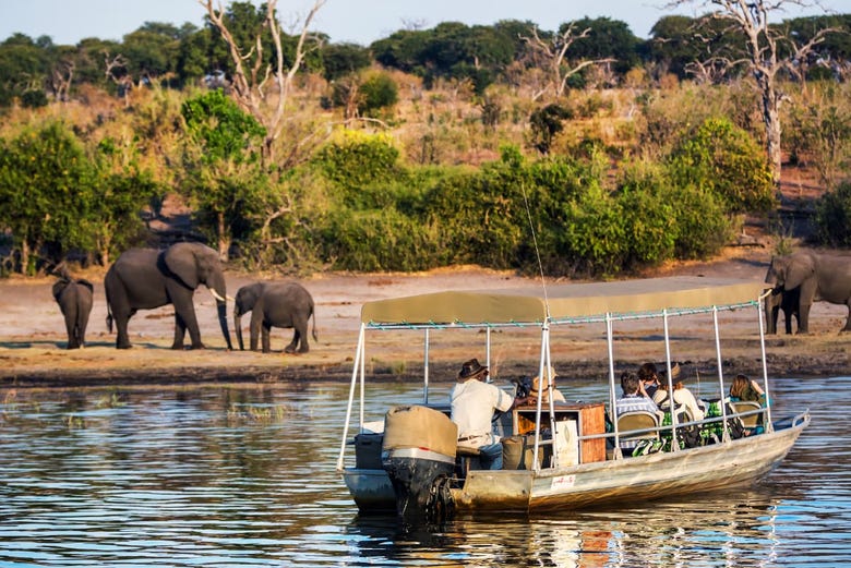 Giro in barca sul Chobe