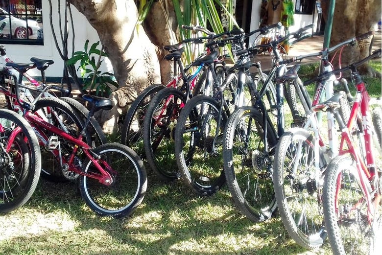 Alcune delle bici con cui esploriamo Victoria Falls