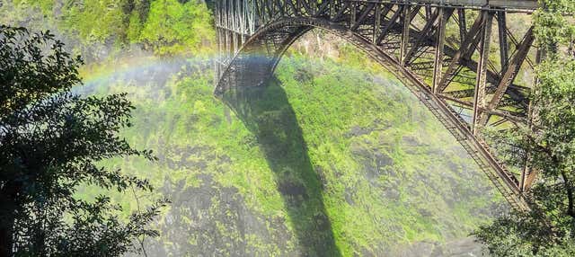 Bungee Jumping nas cataratas Victoria