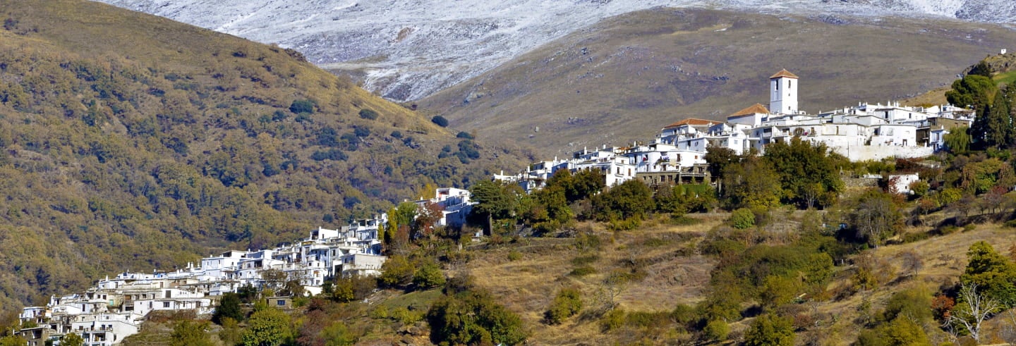The Alpujarra
